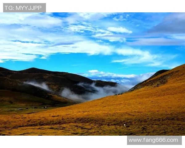 徐昕的艺术之路:从平凡到卓越的心灵探索与创作旅程
